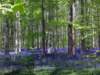 _4240292_dxo_small.jpg