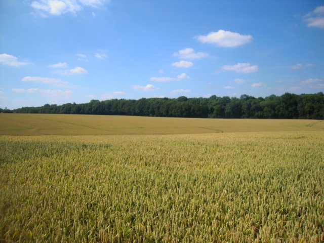 dscn7121.jpg