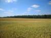 dscn7121_small.jpg