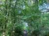_10161042966761382_23371121112144187_n_small.jpg